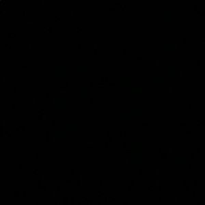 Meet your Posher, Loreina